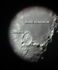gassendi1